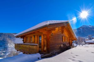 Image of Chalet Belle Vue 10 Pers Fireplace Apple TV