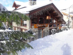 Image of Edelweiss