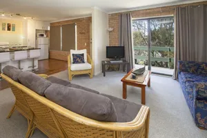Image of Silvertrees 3