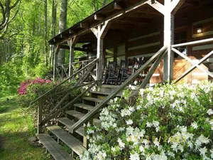 Image of Busbee Cabin by Carolina Mornings | Gas Grill, Fireplace🔥 +Biltmore Pass
