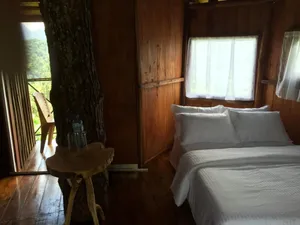 Image of The Tree House