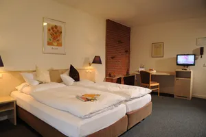 Image of Air Hotel Wartburg