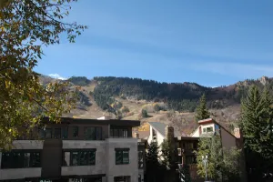 Image of Concept 600 unit 308, Convenient Downtown Location, Private Deck, and Fireplace