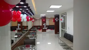 Image of Silver Leaf Noida