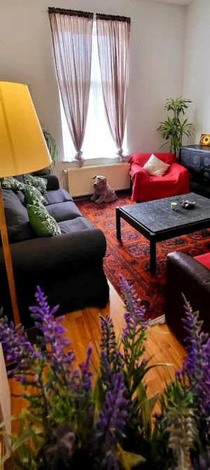 Image of Bright studio close to Zaventem airport