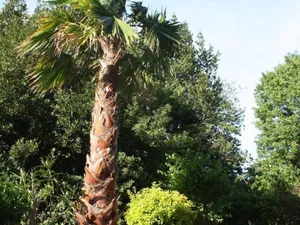 Image of Studio Mas du Tanit Olympe