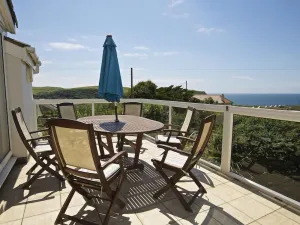 Image of The Look Out