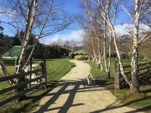 Image of Green Gables B&B Waterfront Apartment with King Bed & Breakfast in Huon Valley