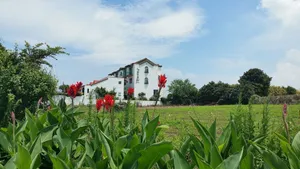 Image of Flora Pension In Jeju