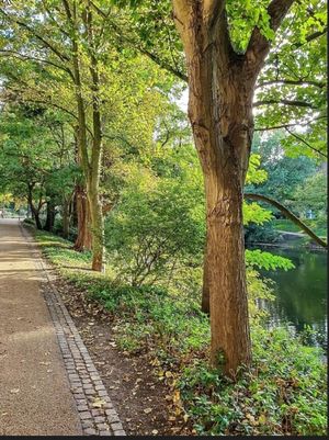 Image of City Park Flair