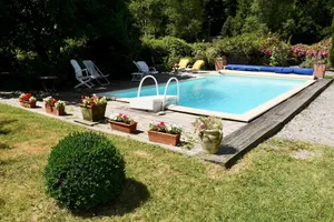 Image of La Tulipe Sauvage