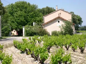 Image of Lo Rastelié