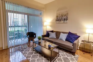 Image of Gorgeous Furnished Apartments near Texas Medical Center & NRG Stadium