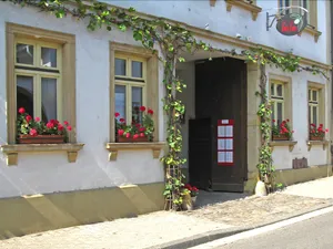 Image of Vivo-Vino