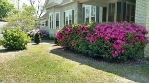Image of Baker Street Bed And Breakfast