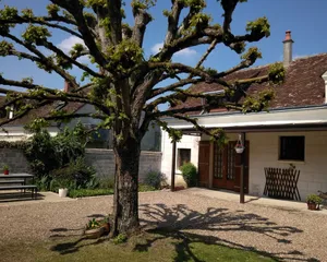 Image of Le clos St Vincent