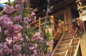Image of Courtyard Shangri-la 藏舍小院