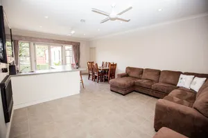 Image of Bel Miren Dusty Miller