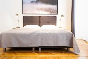 Image of APARTMENT LINDENGASSE