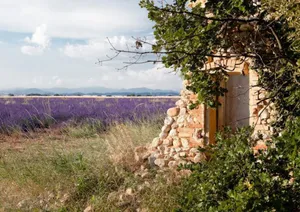 Image of PERLE Studio