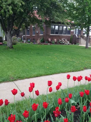 Image of The Dwelling Place