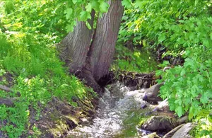 Image of Ungestort die Sonne genießen im App 10 Sanddorn