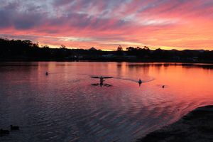 Image of Burrill Lake Holiday Park