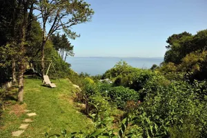 Image of Les Fous de Bassans