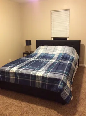 Image of nelson airbnb