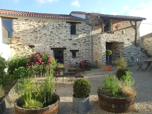 Image of Fleur de Vigne