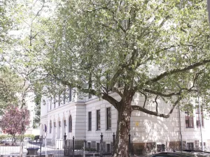 Image of Silentio Schletterstrasse