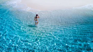 Image of The Island Escape