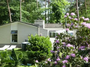 Image of Detached Villa With Enclosed Wooded Garden With Lawn, Jacuzzi and Infrared Sauna