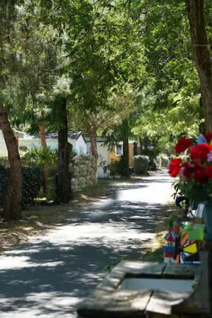 Image of Camping 4 étoiles Les Fougères