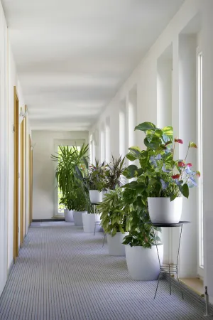 Image of Hotel Germania