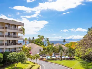 Image of Maui Banyan P301