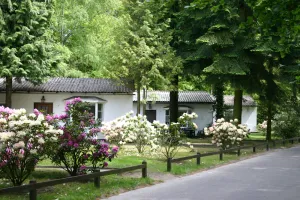 Image of Meeressterne Ferienresort Damerow