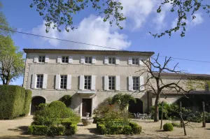 Image of Les Cigales
