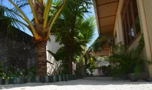 Image of Summer Shade Maldives