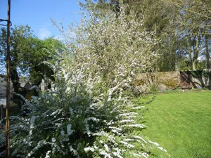 Image of Ferme De Guersignies B&B