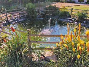 Image of La Source
