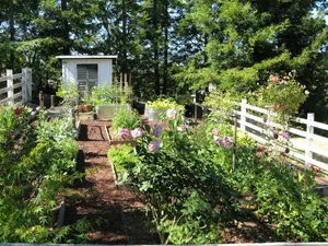 Image of Belle de Jour Inn Bed and Breakfast