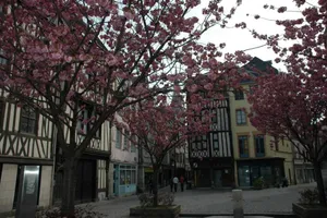 Image of Rouen Quartier St Maclou