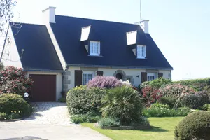 Image of Les Camelias