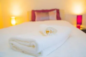 Image of Ivy Place Airport Apartment