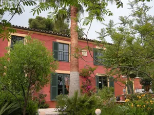 Image of Sous L'Olivier