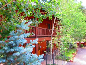 Image of Amberwood