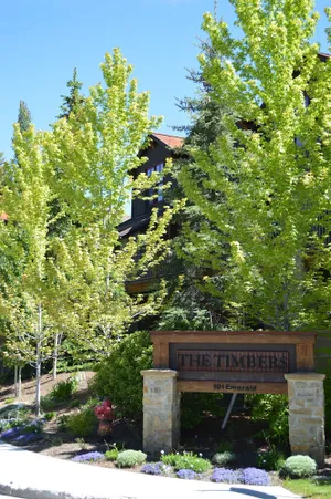 Image of The Timbers 2G