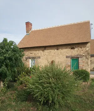 Image of Les Nuits Safranées