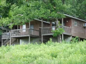 Image of Mansfield Woods